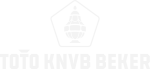 TOTO KNVB Beker logo